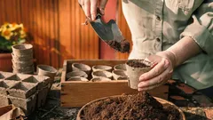 Så i februari – skörda en riklig skörd: en beprövad lista för en fruktbar säsong