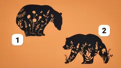 Psykologiskt test: Välj en bild och få en fullständig personlighetsanalys